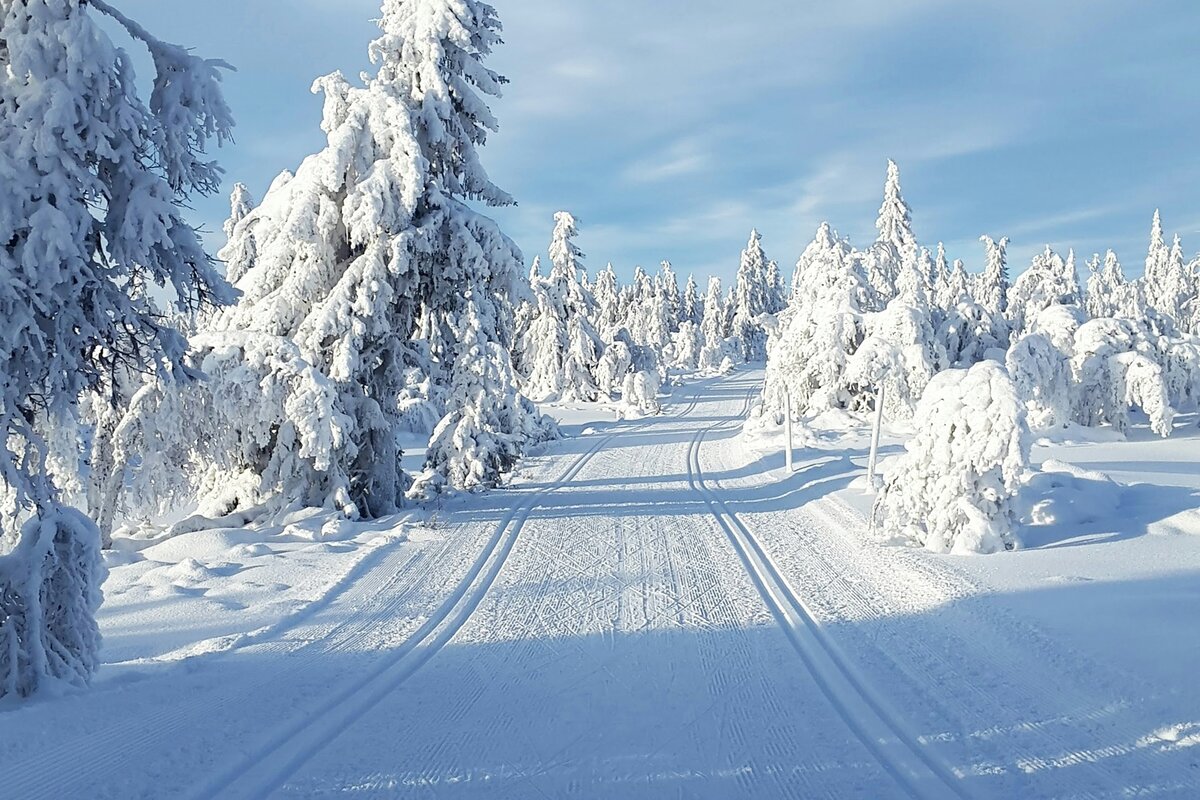 Hiihtäjä alamäessä ladulla